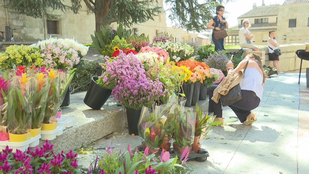 Imagen: Un momento del certamen al Mejor Artesano Florista en el Patio Chico