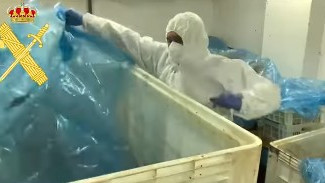 Imagen: La Guardia Civil durante la inspección de la nave industrial