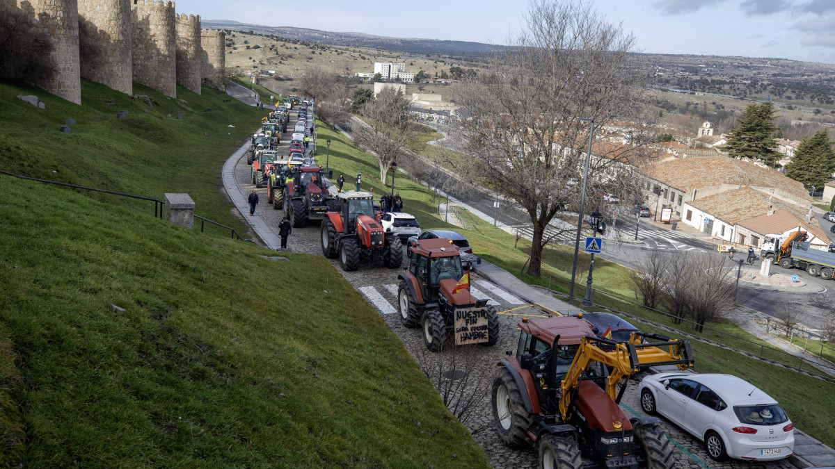Imagen: Tractorada contra el acuerdo con Mercosur en Ávila. Imagen: ICAL