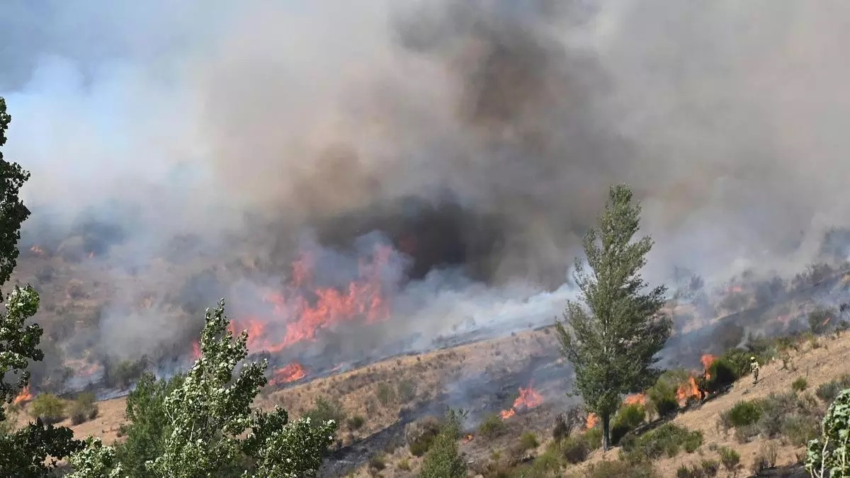 Imagen: fuego 1