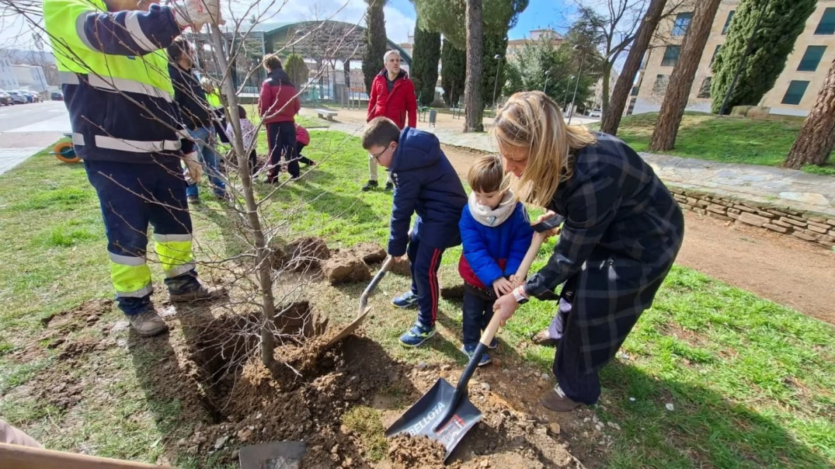Imagen: Plantación de árboles en Salamanca
