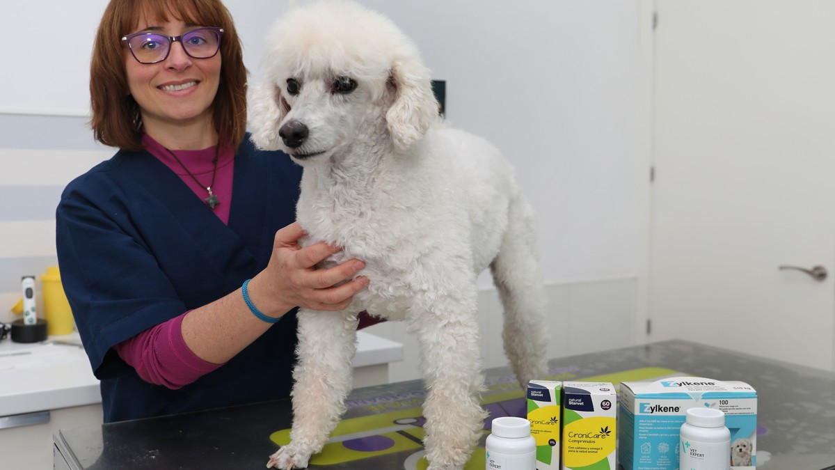 Imagen: ICAL. Imagen de archivo de una profesional veterinaria.
