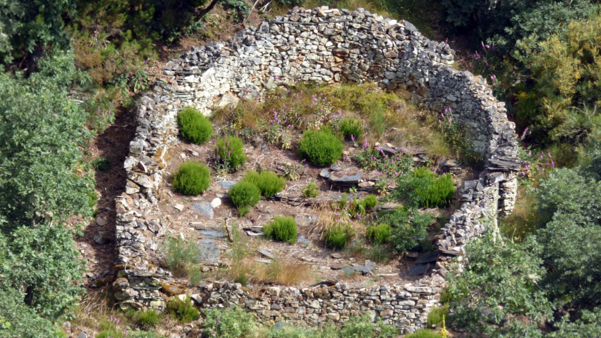 Imagen: Cortines de Fonfría