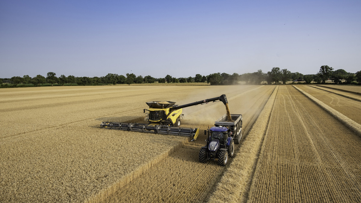 Imagen: Los agricultores sorianos se encuentran en la recta final de la campaña. 