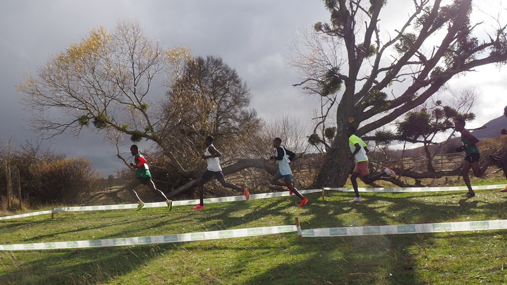 Imagen: Excelente nivel en la XXXI edición de la prueba soriana. 