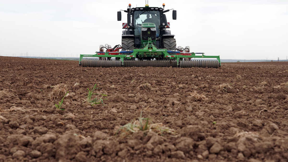 Imagen: Rubén Cacho / ICAL . Siembra de girasol en Castilla y León 