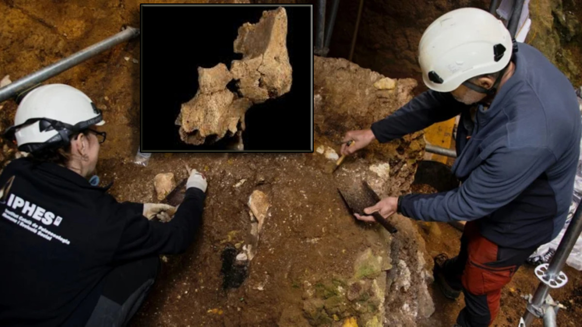 Imagen: María D. Guillén / IPHES-CERCA - Trabajos de excavación en la cota TE7 de la Sima del Elefante  