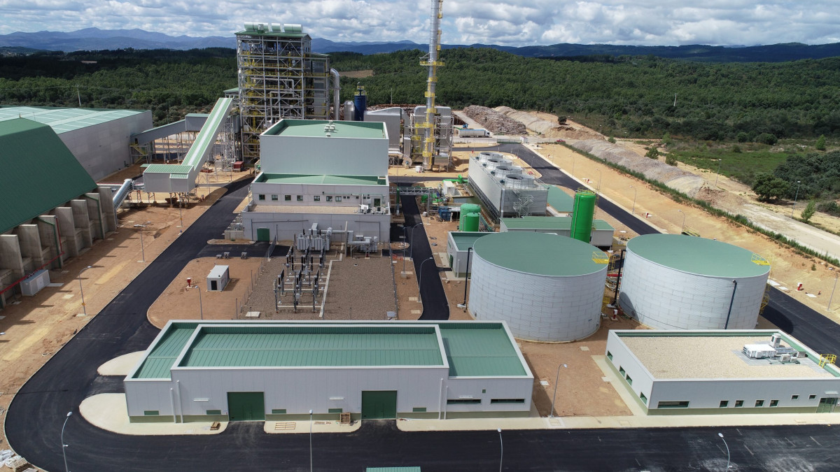 Imagen: Planta de Forestalia en Cubillos del Sil