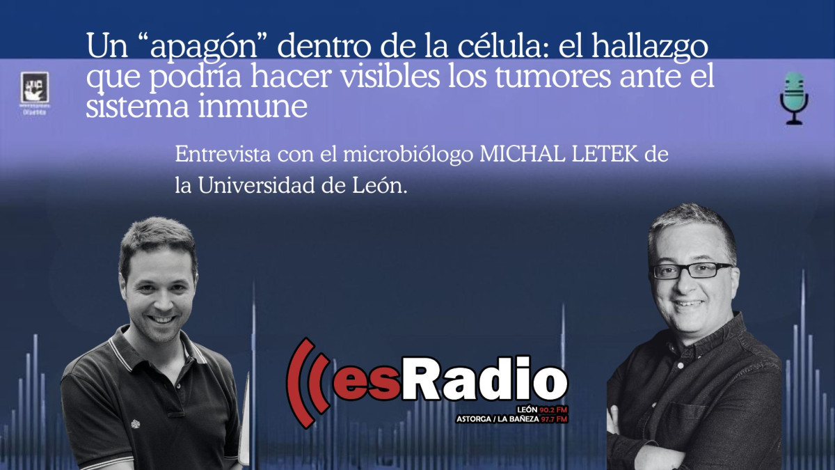Imagen: Post de Instagram - TUMOR AL DESCUBIERTO (Fondo de pantalla)