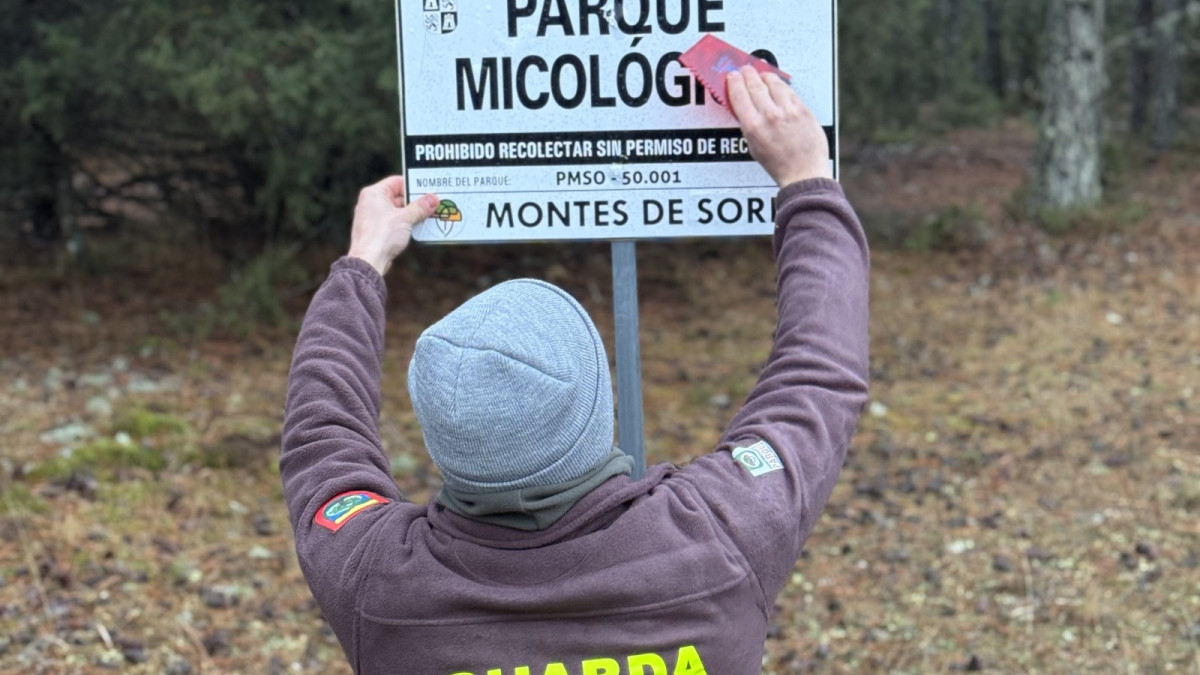 Imagen: Por el momento, se mantiene las tarifas y modalidades de la venta de permisos del año pasado. 