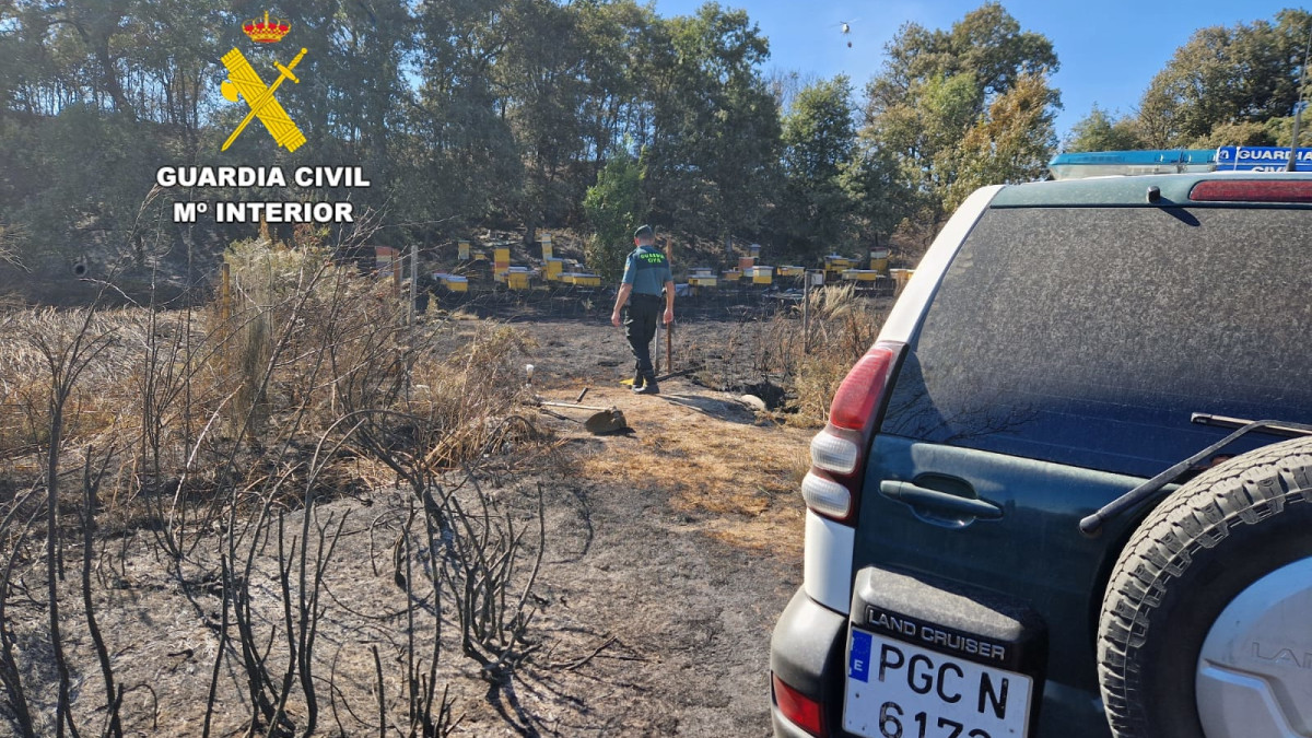 Imagen: La Guardia Civil investiga una negligencia
