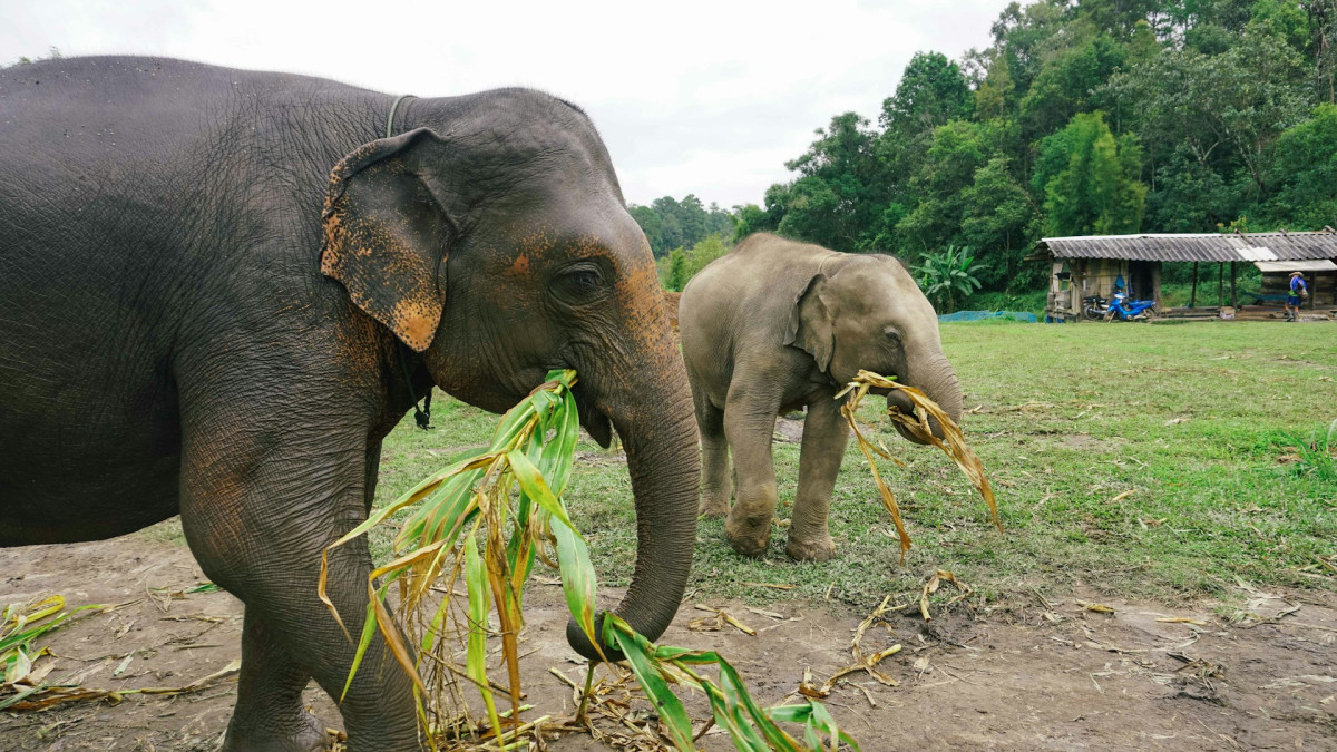 Imagen: Foto de Archico de Antonio Araujo en Unsplash