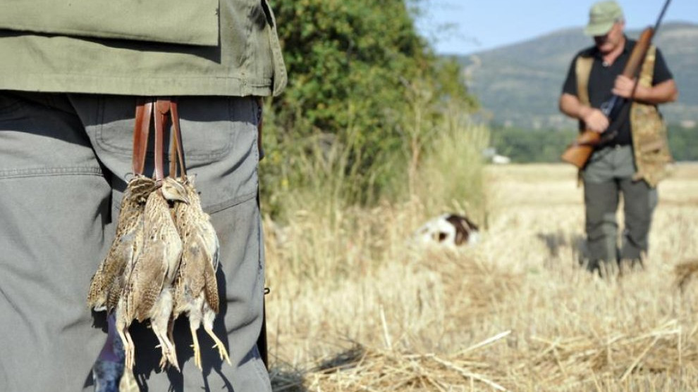 Imagen: El período hábil de media veda se extiende desde el 15 de agosto hasta el tercer domingo de septiembre. 