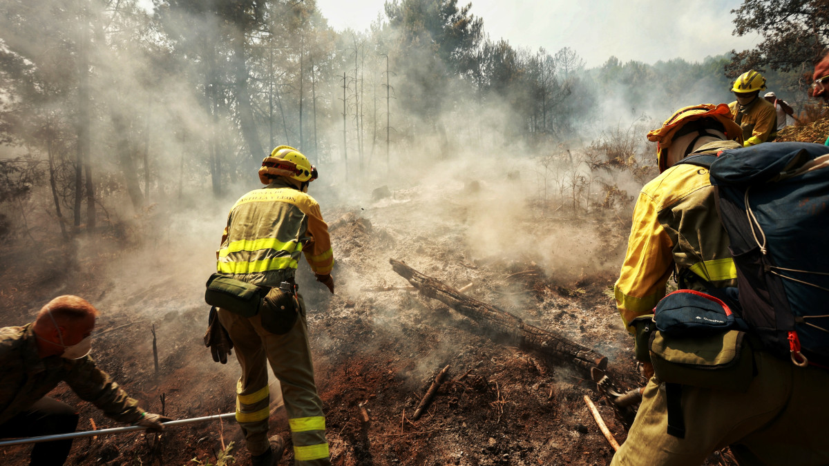 Imagen: ICAL. Incendio forestal en La Alberca (Salamanca)