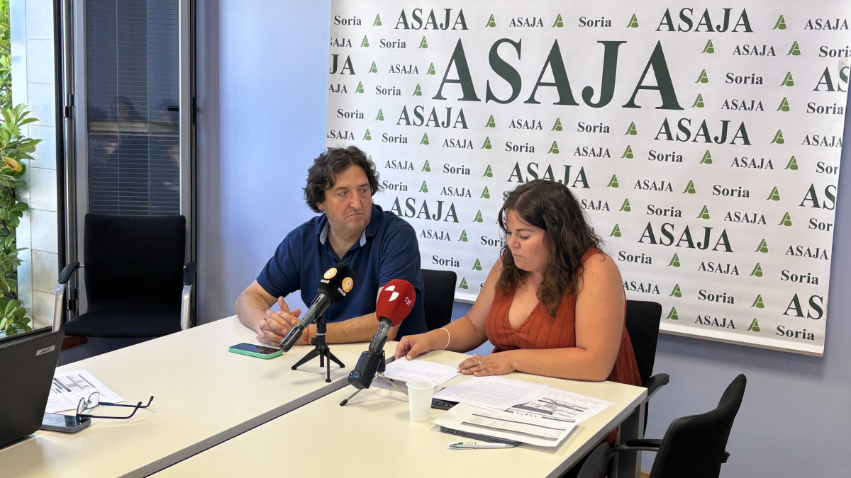 Imagen: La presidenta de ASAJA Soria, Ana Pastor, ha comparecido ante los medios de comunicación para presentar el balance de la campaña de cereal en la provincia de Soria.
