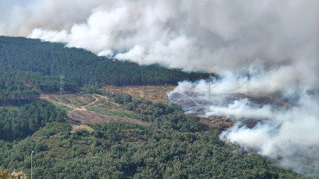 Imagen: Incendio de Sanabria (Zamora) que ha entrado por Ourense | El Mundo Diario de Castilla y León