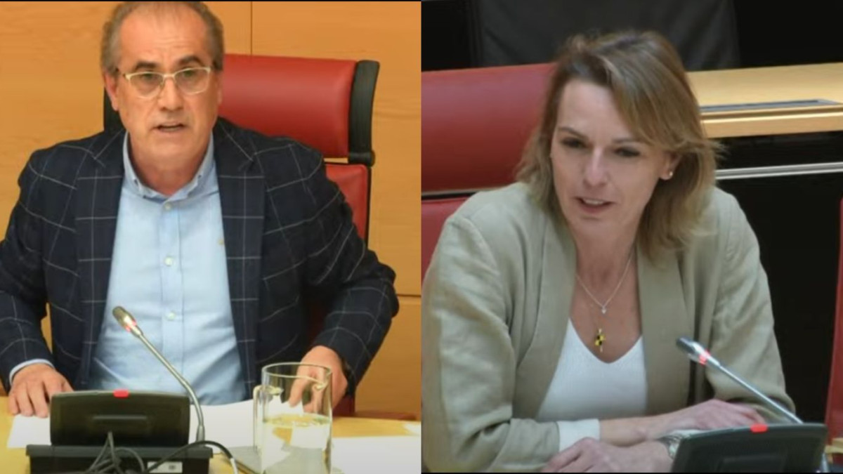 Imagen: Cortes CYL. Luis Briones, socialista, y Lorena de la Fuente, popular, debaten sobre la convivencia entre granjas porcinas y el sector vitivinícola.
