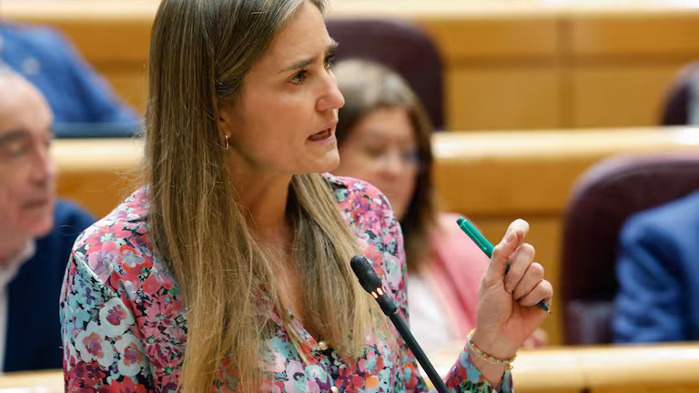 Imagen: La vicepresidenta tercera, Sara Aagesen, interviene en la sesión de control al Gobierno celebrada este martes por el pleno del Senado. 