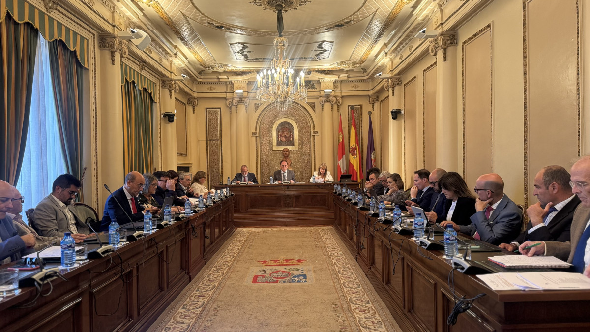Imagen: Imagen del pleno ordinario de septiembre en la Diputación provincial de Soria. 