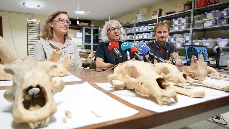 Imagen: Investigadores de la Universidad de León y del Museo Nacional de Ciencias Naturales presentan la primera Campaña de recuperación de restos de fauna del Cuaternario en cuevas de la provincia / ICAL.