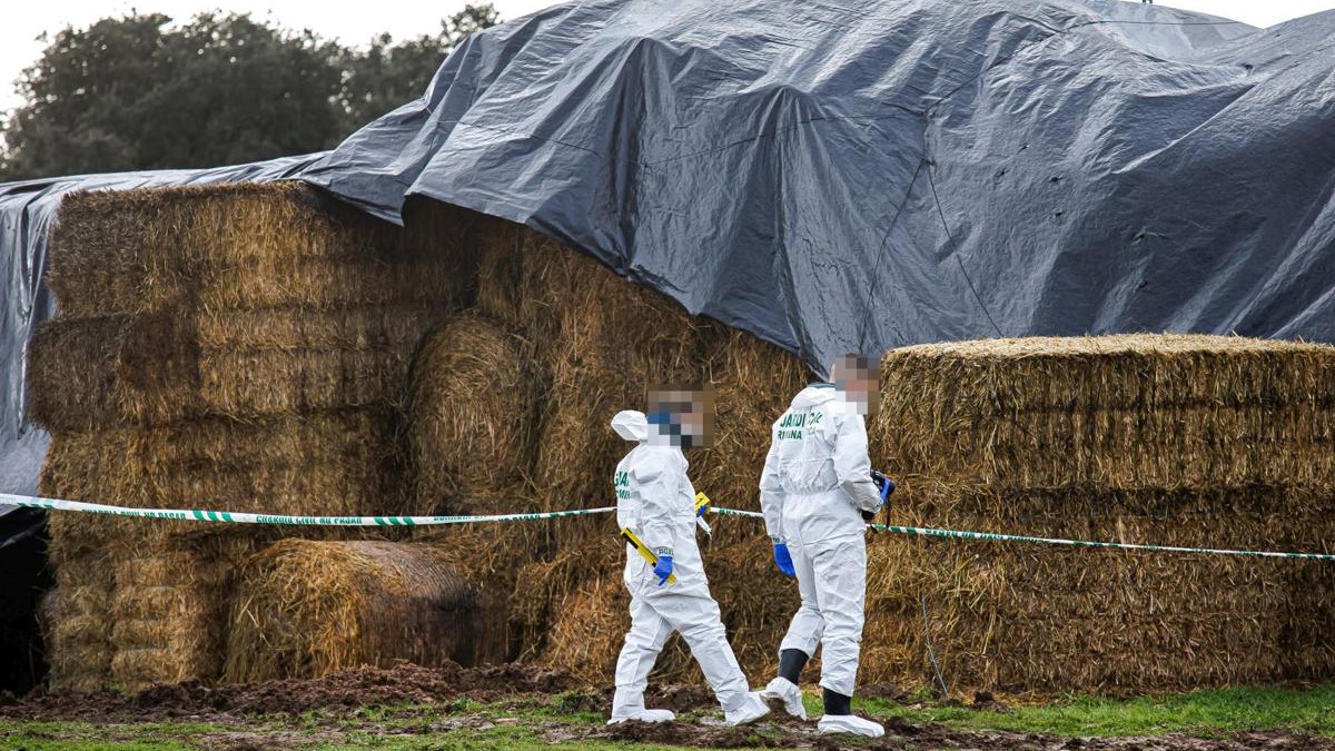 Imagen: ICAL |Miembros de la Policía Científica de la Guardia Civil examinando el lugar donde se encontró el cuerpo del joven en Sanjuanejo.