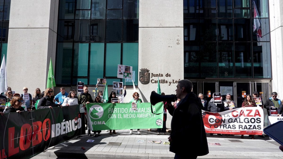 Imagen: ICAL. PACMA convoca una movilización en Valladolid para pedir que se proteja al lobo.