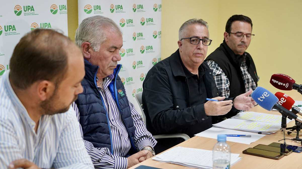 Imagen: ICAL. Rueda de prensa de UPA sobre el pronóstico de la cosecha de cereal en España y Castilla y León.