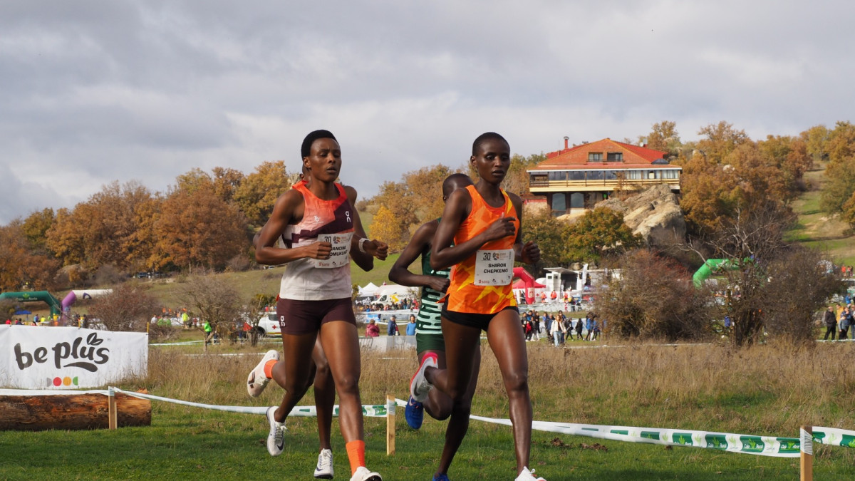 Imagen: La cita de Valonsadero vuelve a contar con la valoración gold (oro) por parte de la Federación Internacional de Atletismo (World Athletics).