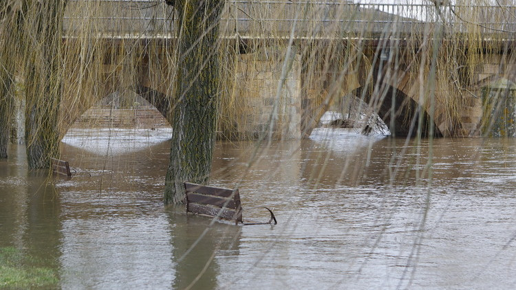Imagen: Concha Ortega / ICAL . Crecida del rio Duero a su paso por Garray. 