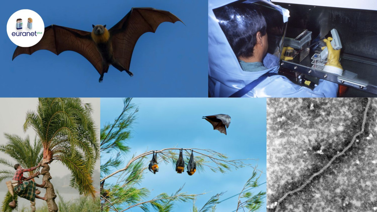 Imagen: Imagen: Centro de control de enfermedades (CDC) de Atlanta, USA