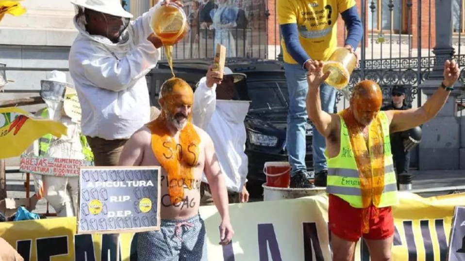 Imagen: Manifestación de Madrid (Foto: UPA)