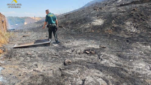 La rápida actuación coordinada de los servicios de extinción intervinientes permitió controlar el fuego en sus primeras fases, evitando su peligrosa propagación a una superficie de mayor extensión.