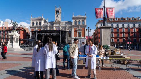 ICAL. Día Mundial de la Enfermería en la Plaza Mayor de Valladolid.