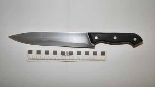Se intervino un cuchillo cuya longitud de hoja era de unos 21 centímetros .