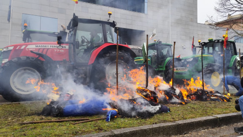 Los tractores a su paso por la Avenida Gloria Fuertes de Valladolid, frente a la Consejería de Agricultura.