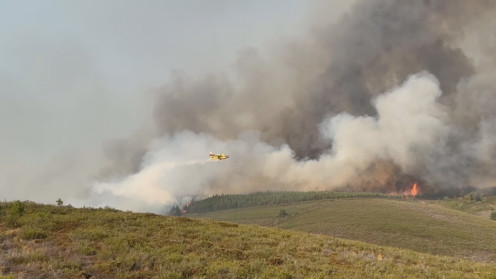 Fuego Anllares del Sil 08/08/2025