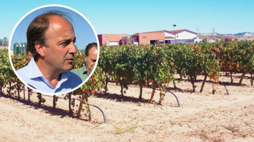 costes-uva-ribera-de-duero-castilla-y-leon-junta