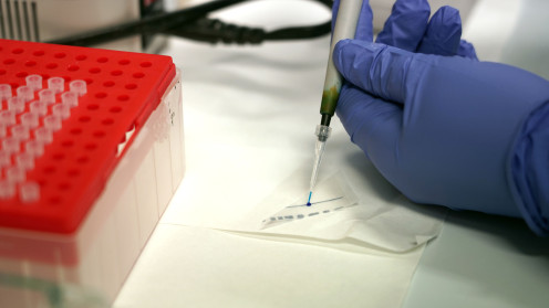 ICAL. Imagen de archivo de un laboratorio dedicado a la investigación contra el cáncer.