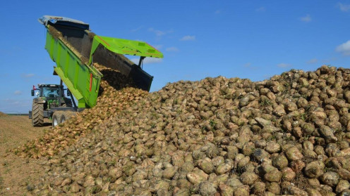 Foto: Diario de León