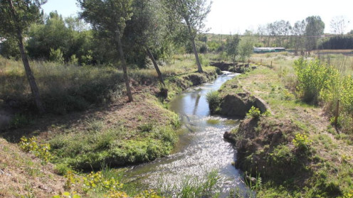 Arroyo de Los Barredos