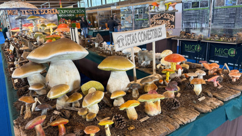 Montes de Soria ha participado este pasado puente en la Feria Venalmazán con un gran despliegue expositivo y una profunda divulgación micológica. 