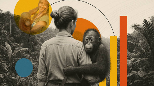 Veterinaria formada en León y heroína de la selva: su lucha por los orangutanes da la vuelta al mundo