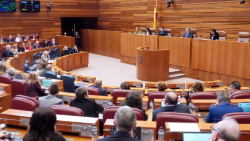 Votación en la segunda sesión del pleno de las Cortes de Castilla y León. Miriam Chacón