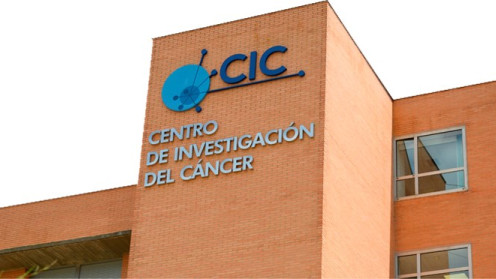 cic