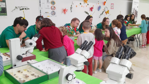 Expociencia Ponferrada (5)