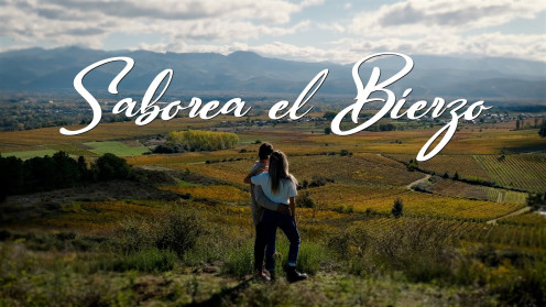 saborea el bierzo