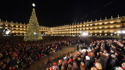 Encendido de las luces de Navidad en 2024