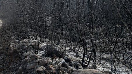 Las Médulas, tras el incendio