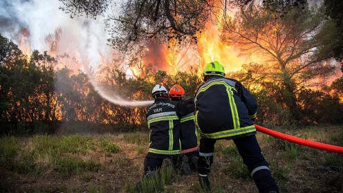 Bomberos forestales