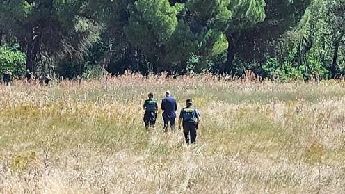 Subdelegación del Gobierno. Agentes de la Guardia Civil buscan a Noemí, la joven desaparecida el pasado sábado en Peñafiel.
